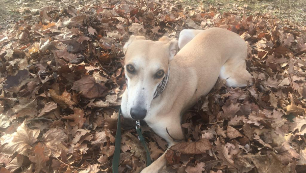 Es gab Post von unserer Lilly